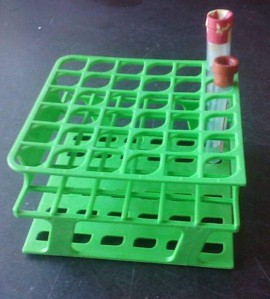 Half Size Test Tube Rack 16mm<p><a href="images/green.pngtitle="In Stock & Ready for immediate shipping."></a><img src="images/green.png" alt="In Stock & Ready for immediate shipping." title="In Stock & Ready for immediate shipping." width="227" height="50" /></p>